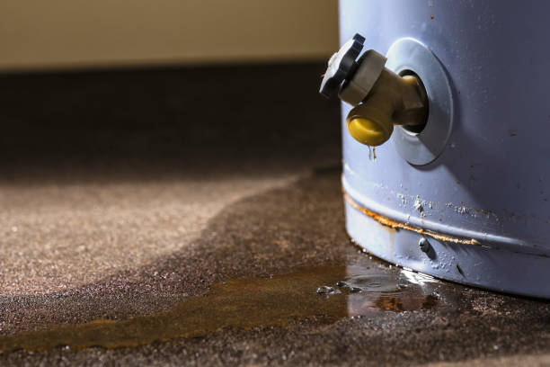 Best Water damage restoration experts  in Lake Carmel, NY