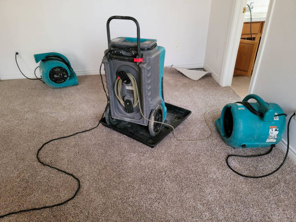 Best Water damage contractors near me  in Lake Carmel, NY