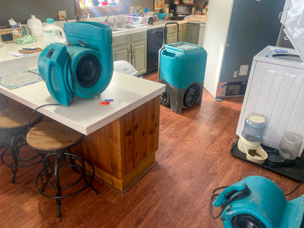 Best Water damage restoration insurance claims  in Lake Carmel, NY