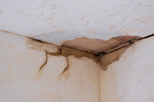  Lake Carmel, NY Water damage restoration Pros