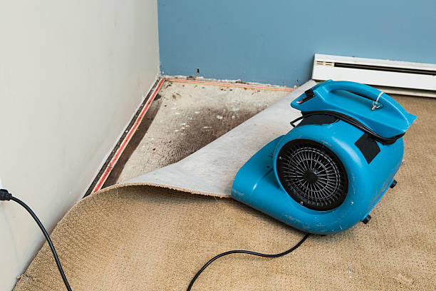 Best Residential water damage restoration  in Lake Carmel, NY